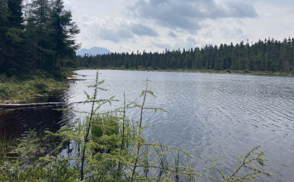 Shoal Pond, with a view of Mt Carrigain. Pemigewasset Wilderness, east side, White Mountains, New Hampshire. 