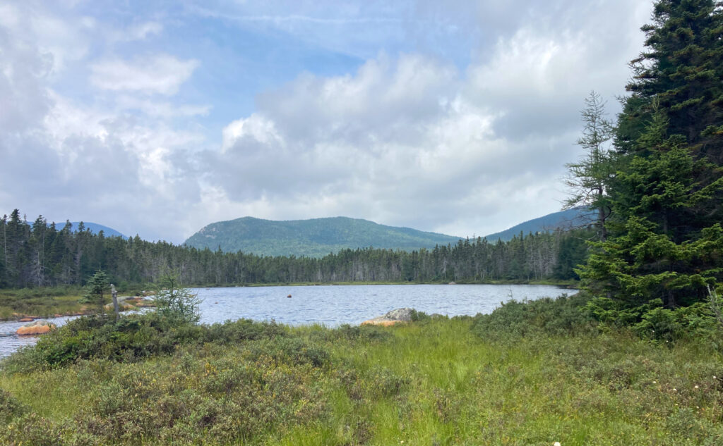 Shoal Pond, with a view of Zealand Notch. Pemigewasset Wilderness, east side, White Mountains, New Hampshire. 