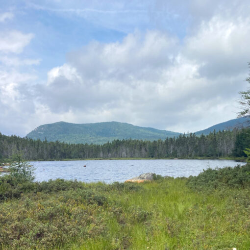 Shoal Pond, with a view of Zealand Notch. Pemigewasset Wilderness, east side, White Mountains, New Hampshire.