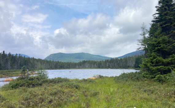 Shoal Pond, with a view of Zealand Notch. Pemigewasset Wilderness, east side, White Mountains, New Hampshire.
