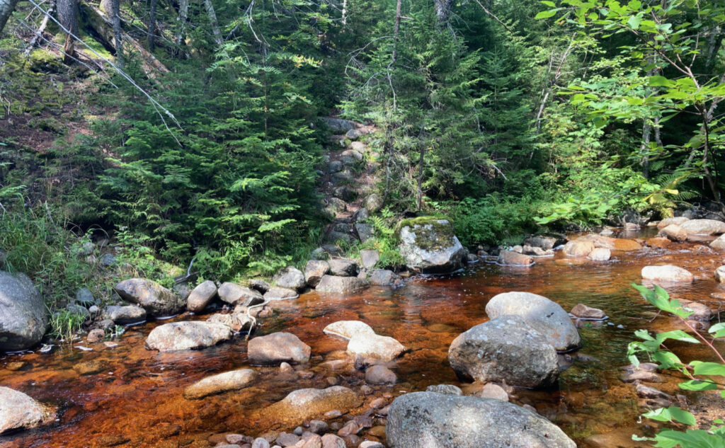 Pemigewasset Wilderness, east side, White Mountains, New Hampshire. 