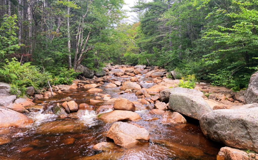 Pemigewasset Wilderness, east side, White Mountains, New Hampshire. 