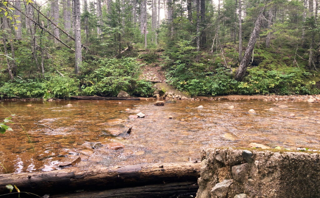 Crossing near Stillwater Junction. Pemigewasset Wilderness, east side, White Mountains, New Hampshire. 