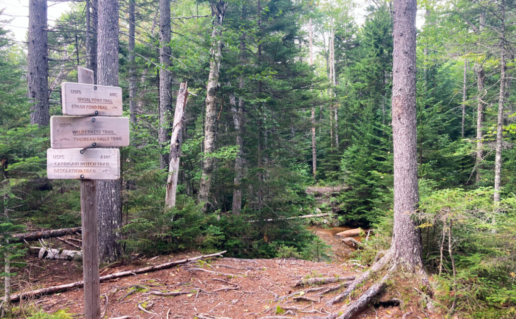 Pemigewasset Wilderness, east side, White Mountains, New Hampshire. 