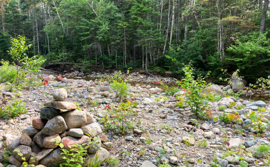 Pemigewasset Wilderness, east side, White Mountains, New Hampshire. 