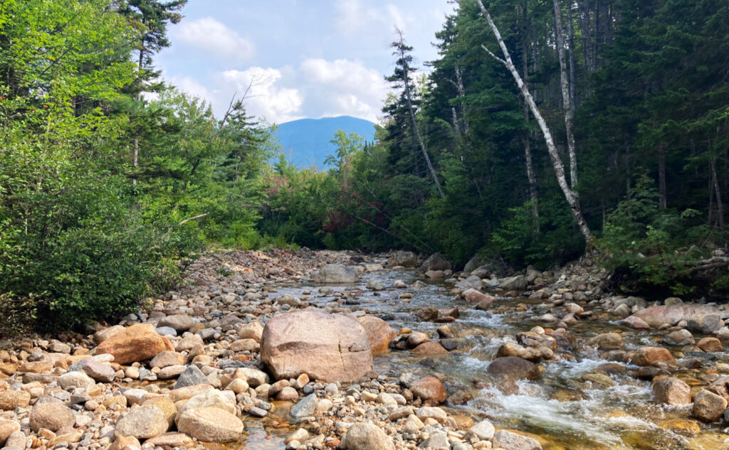 View of Mt Carrigain from Carrigain Branch of the Pemigewasset River. Pemigewasset Wilderness, east side, White Mountains, New Hampshire. 