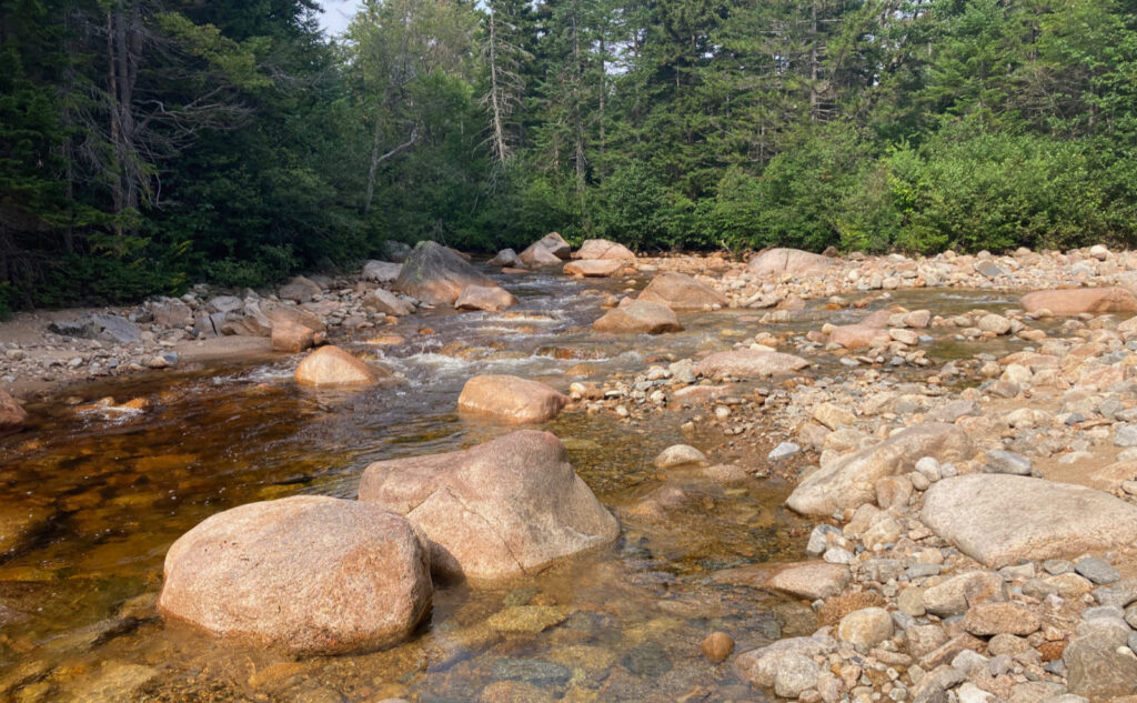 Pemigewasset Wilderness, east side, White Mountains, New Hampshire. 