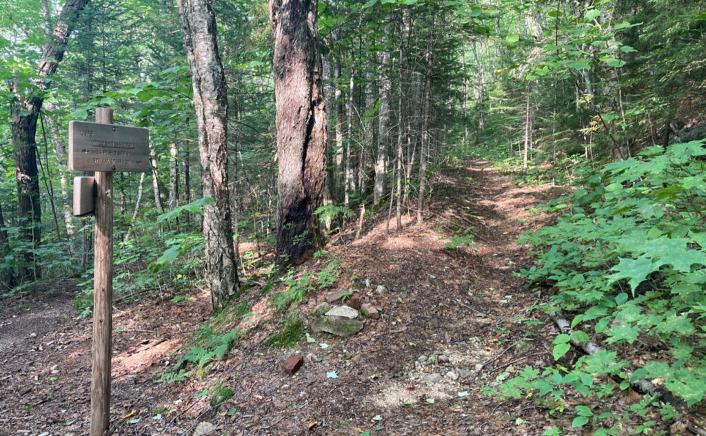 Pemigewasset Wilderness, east side, White Mountains, New Hampshire. 